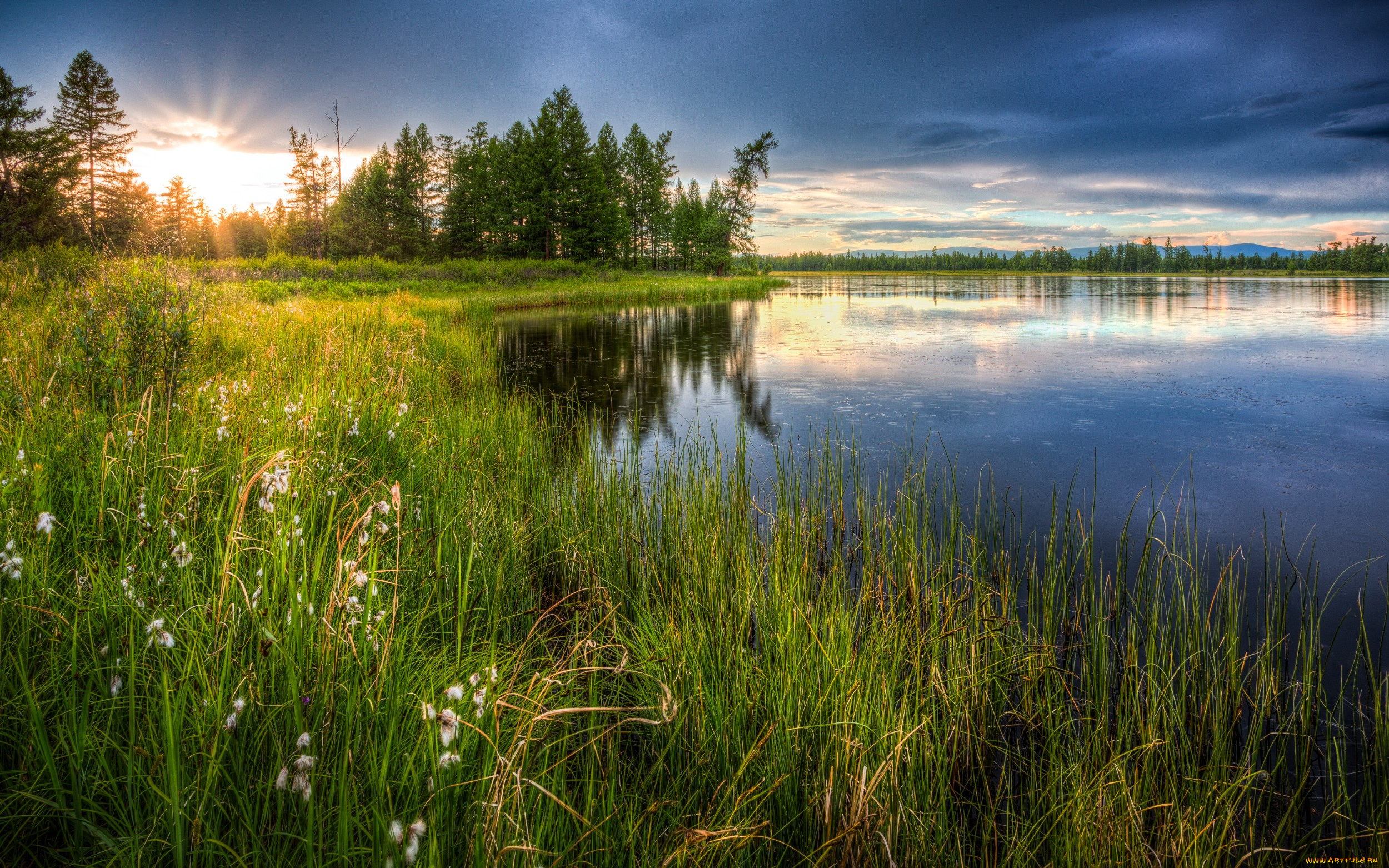 Природа обновилась. Череменецкое озеро Луга. Озеро Верестово. Реки озера поля Луга леса. Природа река.